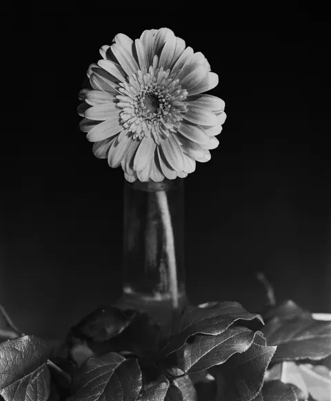 20210126-_DSC5547.jpg